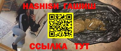 герыч Кингисепп